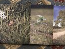 The Dear Hunter Act I, II, III reissue BUNDLE