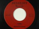 Garage 45 - Shepherd's Heard - I Know - Starlite - mp3 - rare Ohio killer