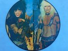 MOTLEY CRUE LP SHOUT AT THE DEVIL RARE MEXICAN PICTURE DISC 1983 LIMITED EDITION
