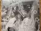 Bjork Vespertine White Vinyl Limited Edition 2LP