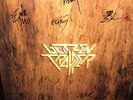 SIGNED by 6 Blitzen Trapper Furr Vinyl Original Fleet Foxes Bon Iver The Shins
