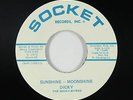 Rockabilly 45 - Dicky & The Dicky-Byrds - Sunshine-Moonshine - Socket - VG++ mp3