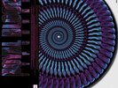 ROYAL BLOOD - TYPHOONS - Zoetrope Picture Vinyl of 3000
