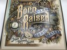 John Mayer Born and Raised 180 Gram Vinyl Double LP