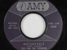 Teen 45 TICO AND THE TRIUMPHS Motorcycle AMY paul simon HEAR