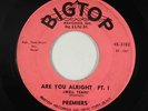 Rockabilly Garage 45 - Premiers - Are You Alright - Bigtop - mp3