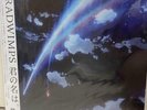 RADWIMPS Your name. LP Record Limited Edition Analog Japan Music J-POP Anime