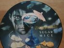 Marillion - Sugar Mice ( 12