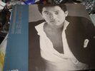 陳百強 DANNY CHAN the best of   HONG KONG WEA VINYL LP  ORIG 1982 MADE USA EX