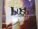 Bush - Razorblade Suitcase (2012 Pressing On Orange Translucent Vinyl)