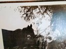 Jack Owens And Bud Spires It Must Have Been The Devil Vinyl LP RARE Testament 71