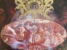 Xasthur ‎- Telepathic With The Deceased 2 x LP Vinyl Album BLACK METAL - Record