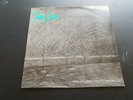 THE CURE - behind closed doors  - lp'-