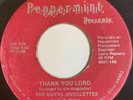 Rare Gospel Soul 45/ Royal Angelettes 