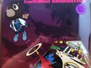 KANYE WEST GRADUATION PURPLE VINYL 2LP RARE UNOFFICIAL PRESSING W BONUS TRACKS?