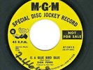 NORTHERN SOUL 45  Dan Penn  MGM  13415  *promo*