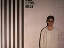NOEL GALLAGHER'S HIGH FLYING BIRDS - Chasing Yesterday - Vinyl (LP)
