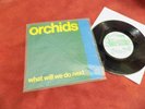 THE ORCHIDS What will we do next 7