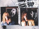 Cheap Trick Busted vinyl LP ID34z