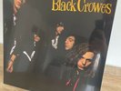 THE BLACK CROWES - SHAKE YOUR MONEY MAKER LIMITED EDITION EVERGREEN VINYL