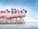 The Cinematic Orchestra The Crimson Wing Disney RSD PINK vinyl 2LP NEW/SEALED