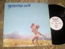 1970 Hard Rock Folk Psych LP - THE MORNING DEW - Roulette  WHITE PROMO Shrink