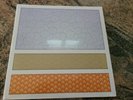 STREETLIGHT MANIFESTO Somewhere  In Between New SEALED Vinyl