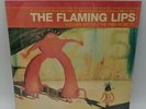 Flaming Lips Yoshimi Battles The Pink Robots LP Pias America OG Press NM SHRINK