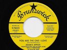 Adam's Apples - You Are The One I Love / (same) (Soul, 45) 55367