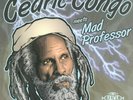 Cedric Congo Meets Mad Professor ?– Ariwa Dub Showcase(New Sealed Vinyl LP) R252