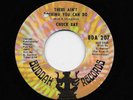 Chuck Ray - There Ain't A Thing You Can Do / Baby Please Don't Let Go (45) 207