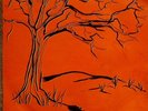 COMPLEX Complex LP Orange Limited Edition NUOVO .cp