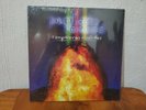 PANTEON ROCOCO COMPAñEROS  MUSICALES LP RECORD VINYL NEW SEALED