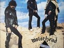 Motorhead - Ace of Spades - Gold Vinyl - Signed by Lemmy/Eddie/Phil