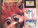 Dinosaur Jr. - Fossils . Origional Vinyl . Rare . 1991
