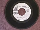 ROGER & THE TRAVELERS  You're Daddy's Little Girl   EMBER  Promo  VG++