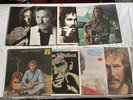 Gordon Lightfoot -8 Vinyl LP Albums Sundown Gold Dream Street Rose Don Quixote +