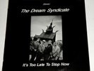 DREAM SYNDICATE -  TOO LATE TO STOP LIVE LP opal rain parade