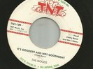 DOOWOP bw LATIN ROCK INSTRO- MOODS- IT'S GOODBYE AND NOT- HEAR - 1960 TEXAS TNT