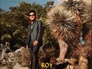 Roy Montelongo” Carinito De Mi Vida “ Tejano Tex Mex LP
