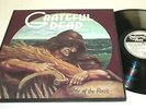 GRATEFUL DEAD WAKE OF THE FLOOD LP NM NEAR MINT US ORIGINAL 1973 VINYL