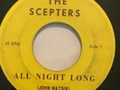 Rare Garage 45/ Scepters 