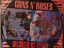 GUNS N ROSES APPETITE FOR DESTRUCTION LP PICTURE DISC