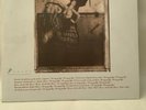 Pixies Surfer Rosa CAD803 4AD Near Mint