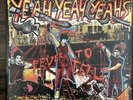 Rare YEAH YEAH YEAHS Vinyl FEVER TO TELL LP
