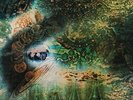 SAUCERFUL OF SECRETS