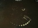 Bartel Self Titled PROMO 12