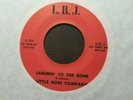 LITTLE ROSE COMPANY Ziadico Disco - Jammin to the Bone 7