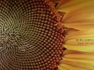 WINDY & CARL - We Will Always Be - Vinyl (gatefold 2xLP)