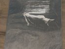 Bill Evans Jim Hall UNDERCURRENT Mobile Fidelity MoFi MFSL LP NEW SEALED #7916